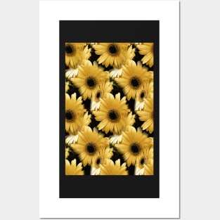 Yellow Daisies Posters and Art